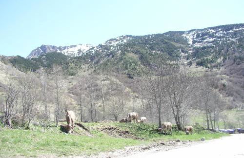 Casa de piedra con encanto en el bonito pueblo de Bagergue - Foto 51