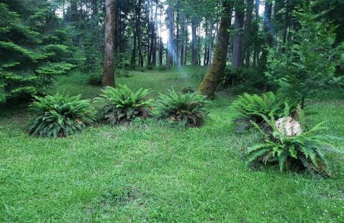 Orchard House! Recharge at Peaceful Nature Escape - Foto 13