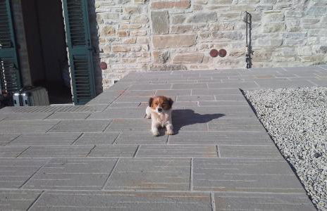 Agriturismo al Monte - Foto 49