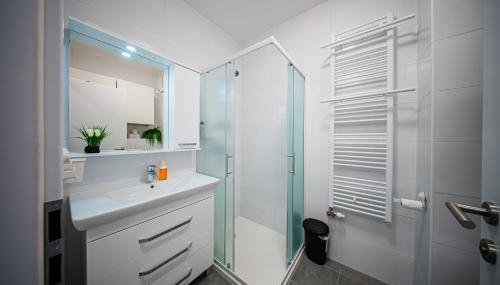 Fleksibilni SelfCheckIns 168 - Zagreb - Studio - Parking - Lođa - Foto 5, towels, Shower