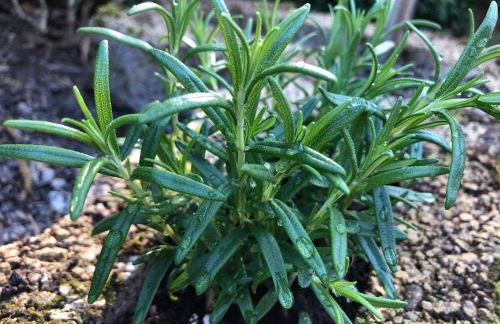 Hideaway Extertal - Foto 43