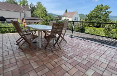 Le Cerisier - Route des vins - Parking et terrasse avec vue sur montagnes et vignoble - Foto 32