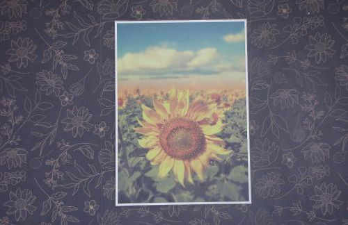 RCM Vilas - Studio Flowers 603 - Photo 10