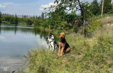 Seelenglück - Foto 32