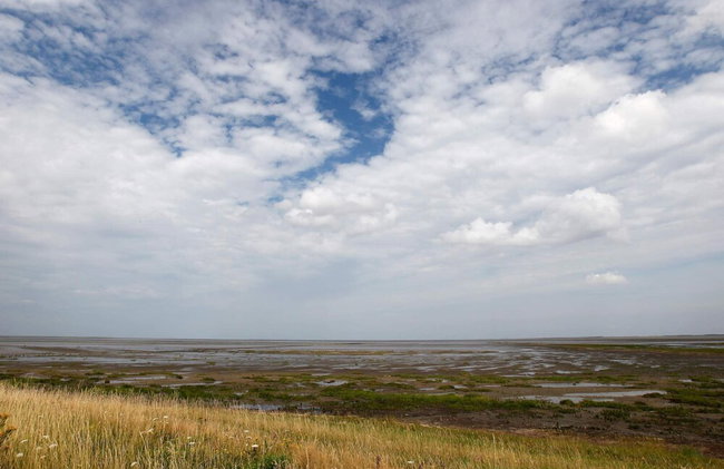 6 Person Holiday Home in Skaerbaek - Foto 11