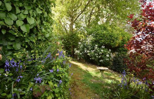 Birch End, Midhurst - Foto 23