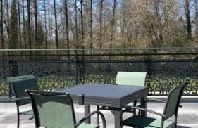 Appartement avec terrasse, proche des 1000 étangs, chapelle Le Corbusier - Foto 29