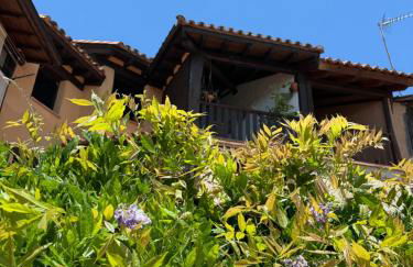 Lanzaroco, tu casa en La Vera - Foto 56