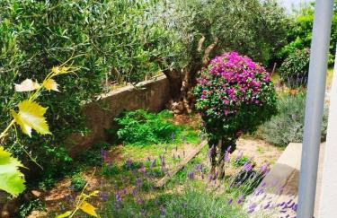 Apartments Edi - Photo 19