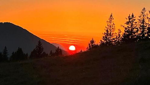 Ferienwohnung Allium - Foto 5