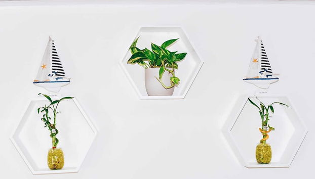 Entrada (vista interior)