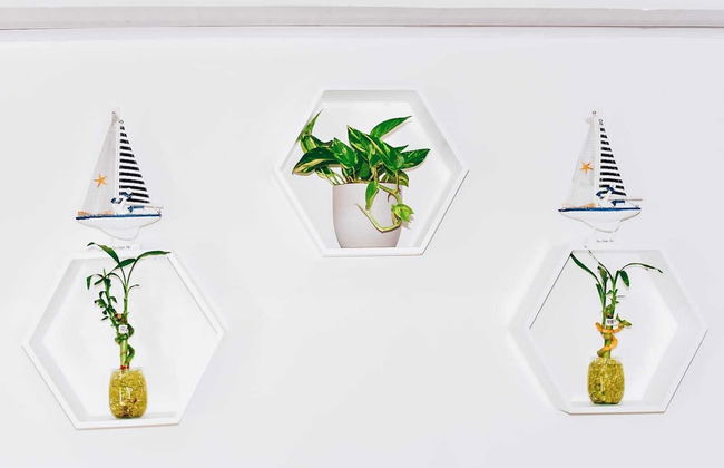 Apartamentos Turisticos Altamar - Foto 2