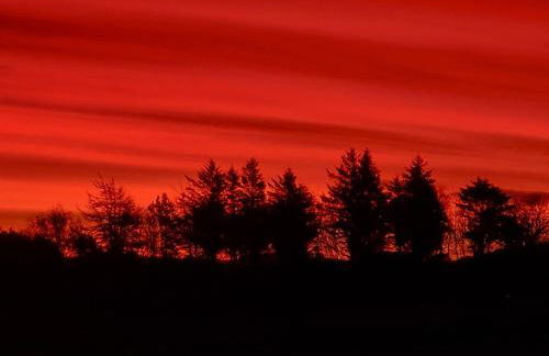 "Balmoral View" - Foto 15