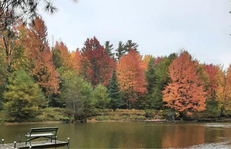 Rustic Willow Retreat - Outdoor Adventures cabin - Foto 12