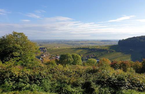 Gästezimmer Waldblick Leinsweiler - Foto 5