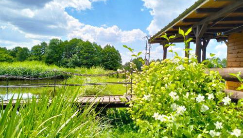 Nad żabim stawem - Foto 2