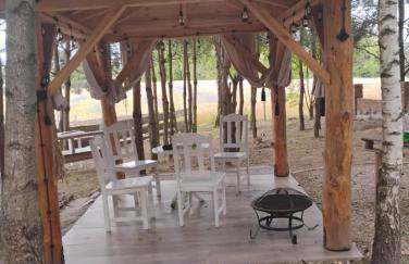 Cegiełka w Skarlance - Foto 2