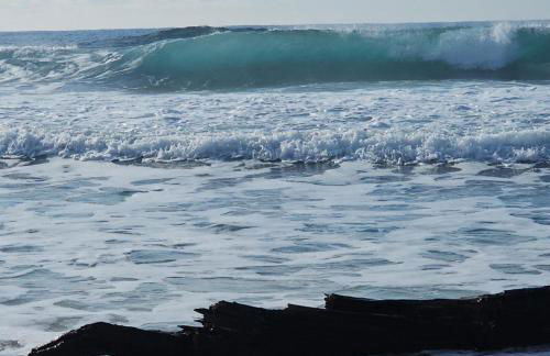 Petit cocon à Mourepiane - Foto 30