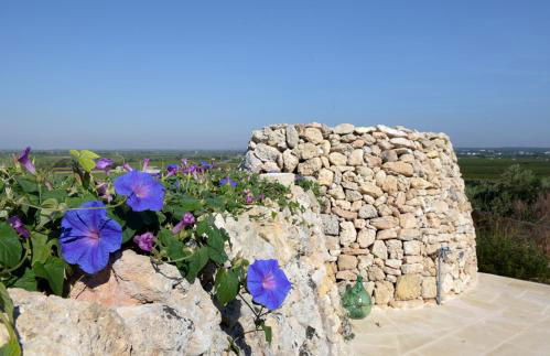 B&B Borgo Monacizzo - Foto 28