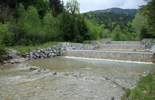 Am Jenbach - Foto 42