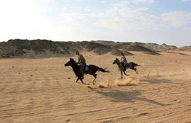 1 hora de equitação no deserto incrível e transferência: Marsa Alam - Foto 2