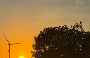 Hotel Fazenda Alta Vista - Photo 73