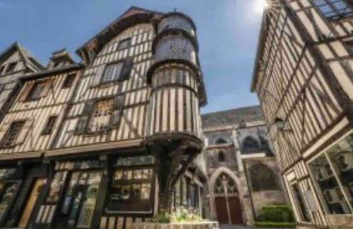 Jolie maison style champenois Classement 3 étoiles Gîtes de France - Foto 46
