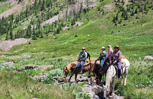 Backcountry Outfitters - Foto 26