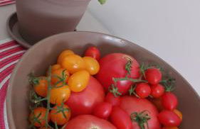 Butterfly Appartamento - Foto 19