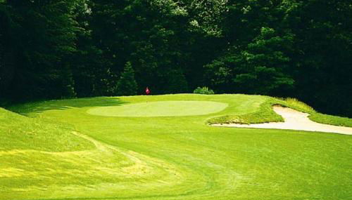 Waldblick 1 - Foto 2