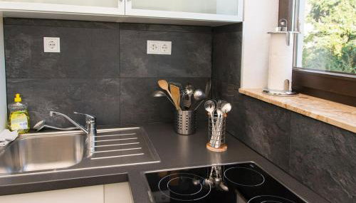 Ferienwohnung direkt am Rhein in Neuwied bei Koblenz - Foto 3