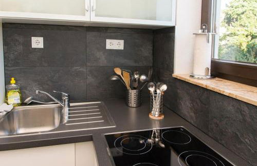 Ferienwohnung direkt am Rhein in Neuwied bei Koblenz - Foto 3