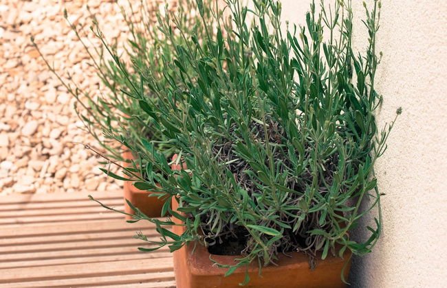 One Abbey Lane - Photo 1