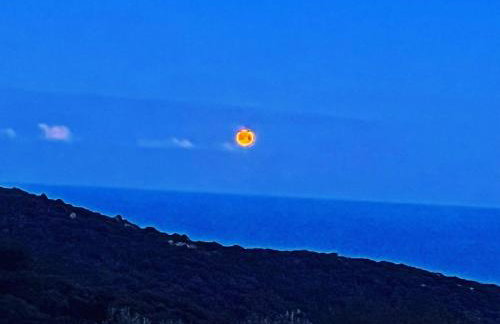 Maison typique Corse écologique - Photo 47