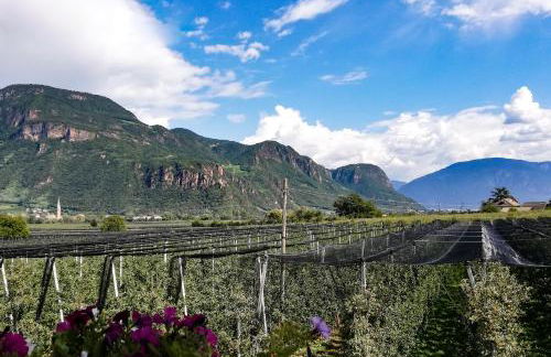 Gisshübelhof - Foto 16