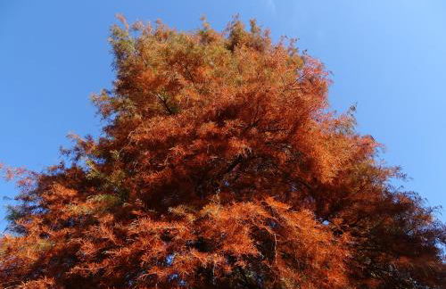 Corte Isolo - Photo 36