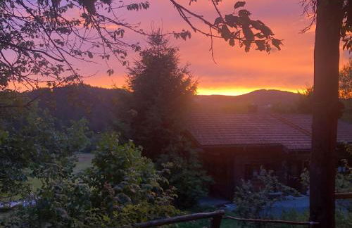 Ferienhaus Schlagintweit - Foto 10