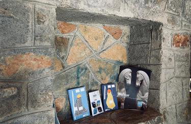 Citrus garden - Photo 43