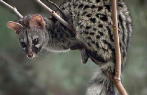 La Casa del Pan de Archivel - Foto 8