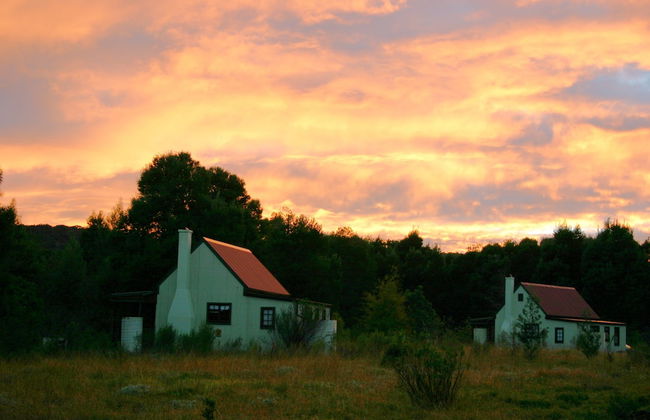 Forest Edge - Foto 75