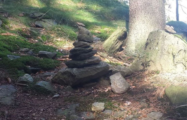 Holiday Apartment Waidlersuite - Photo 14