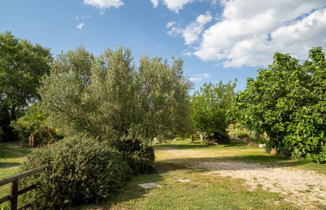 Villa Elster - Foto 37