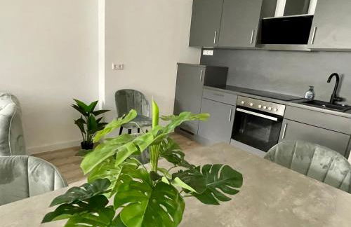 Goldstadt Schlössle Suite 2-Zimmer Design Apartament Zentrum Pforzheim - Foto 9