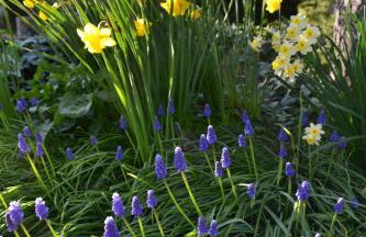 Gîte authentique près Zoo de Beauval et Châteaux - Photo 30