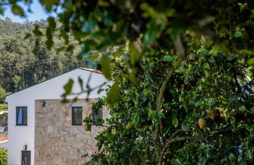 Casa Gondiga - Foto 36