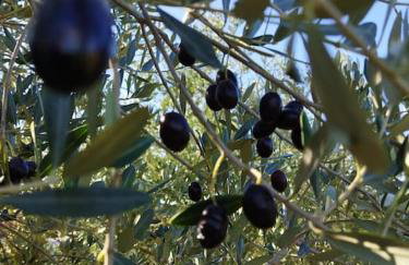 Kuća Lilla - Foto 63