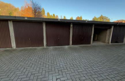 Genzianella - Foto 2