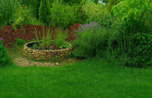 Mc Garry Apartments and Garden - Foto 12