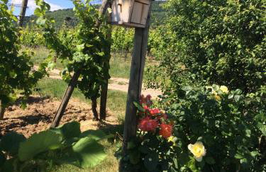 Gite Le Mandlé - Photo 57