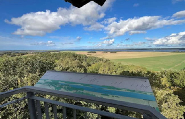 Holiday Home Lotsenhaus am Breetzer Bodden - Photo 30